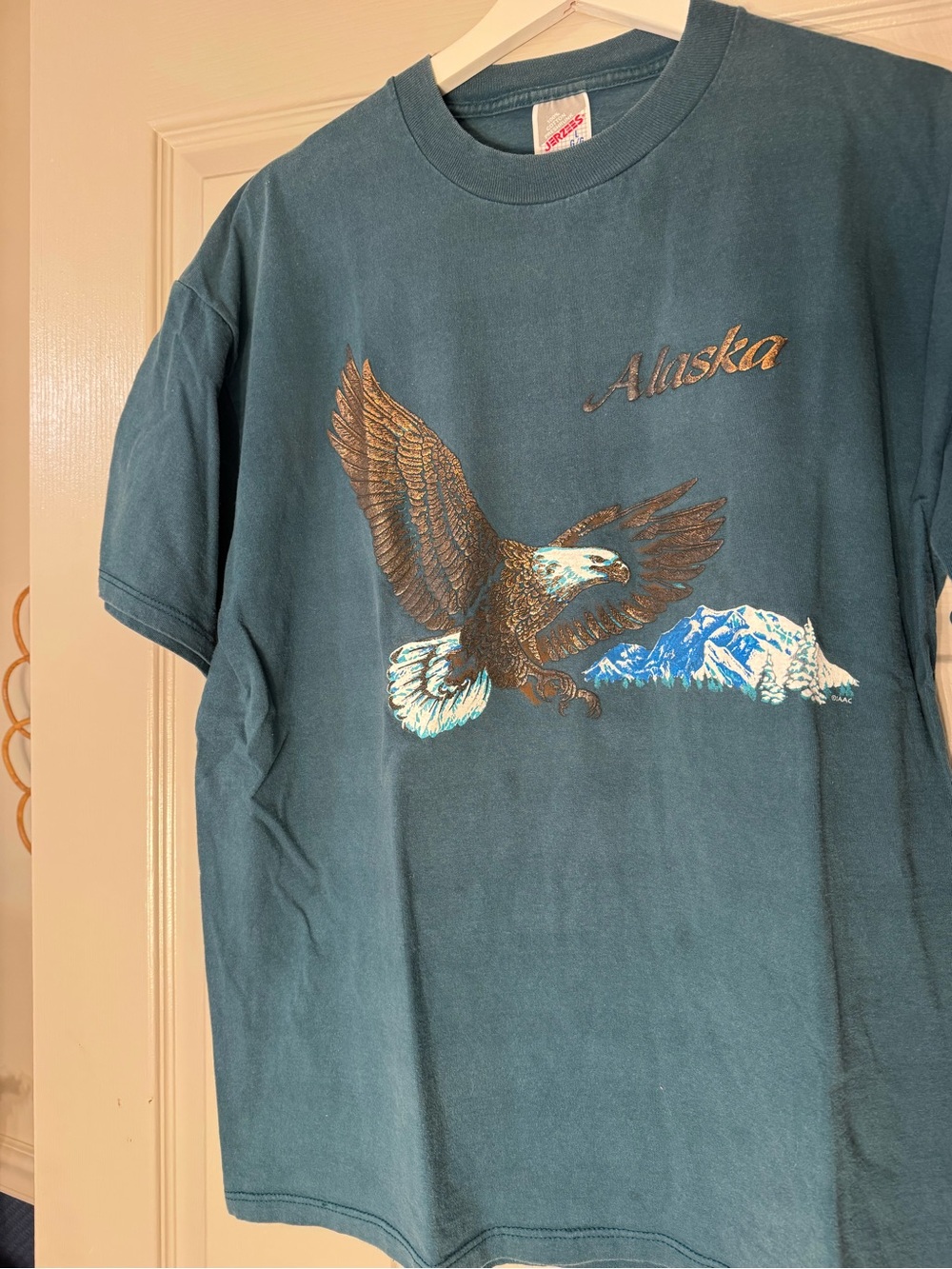 Vintage Jerzees Teal Alaska Eagle Graphic Tee